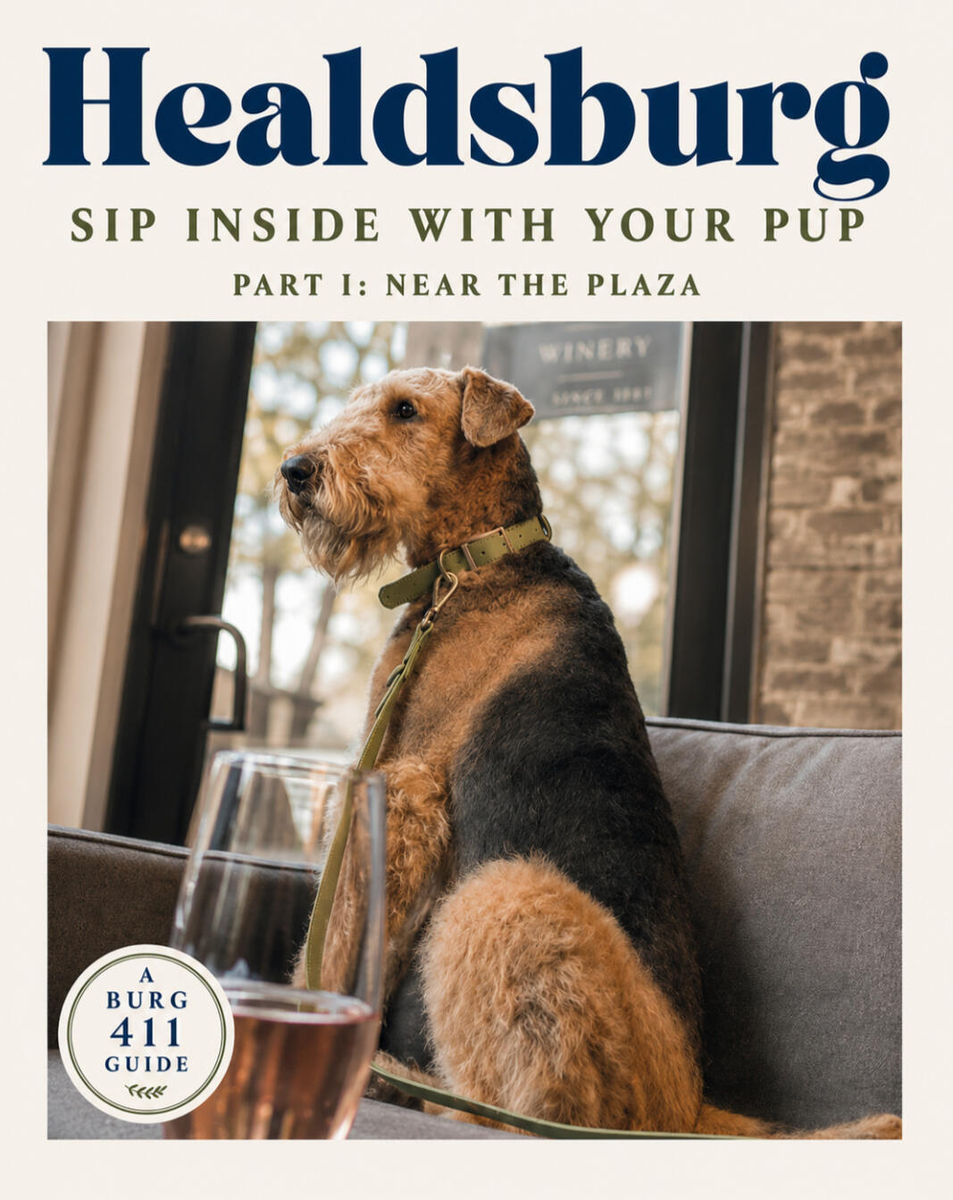 Dog-Friendly Healdsburg Dog-Friendly Healdsburg